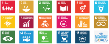 17 millennium development goals