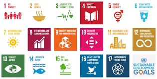 sdgs sustainable development goals