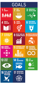 united nations sustainability goals