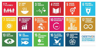 17 development goals