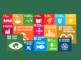 17 sustainable goals