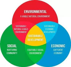 explain sustainable development