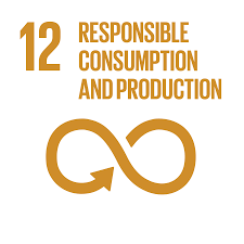 sdg 12