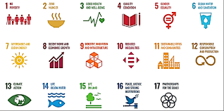 seventeen sustainable development goals