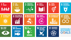 un 17 sustainable development goals