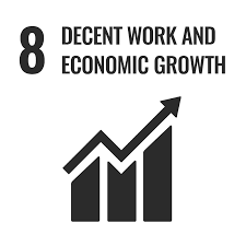 sdg 8