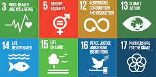 sdg meaning